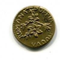 Peso Monetale: "Doppia Nuova Romana", gr. 5,50