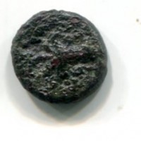 Sicilia, Siracusa (dopo 212 a.C.): bronzo (SNG ANS#384)
