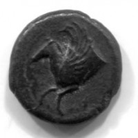 Sicilia, Siracusa, Timoleonte (344-317 a.C.): bronzo (Calciati,II#79