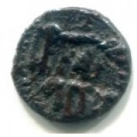 Palermo, Guglielmo II (1166-1189): kharruba (MIR,110#443)
