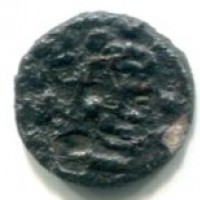 Palermo, Guglielmo II (1166-1189): kharruba (MIR,110#443)
