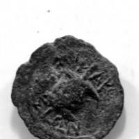 Sicilia, Siracusa (dopo 212 a.C.): bronzo (Buceti#1682), gr. 3,26
