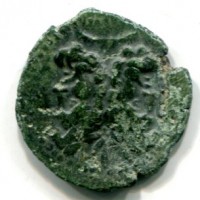 Sicilia, Panormos (dopo il 241 a.C.): bronzo (Buceti#159)