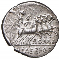 Baebia, M.Baebius Q.F. Tampilus (137 a.C.): denario (Varesi#114), grammi 3.76