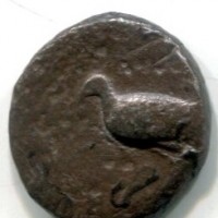 Sicilia, Akragas (505-495 a.C.): didracma (Buceti#7), gr. 7,53
