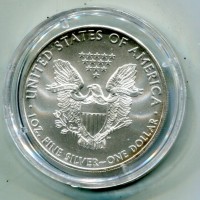 USA: 1 dollaro 2008 "Oncia"
