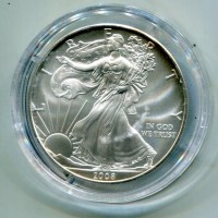 USA: 1 dollaro 2008 "Oncia"
