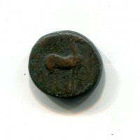 Kyrenaiea, Kyrene, Tolomeo I (308-305 a.C.): bronzo, 17mm, (SNG COP#1248), gr.5,01