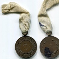 Torino: ISTITUTO FEMMINILE "THESIA", medaglia nominativa, diam. 30 mm, macchie