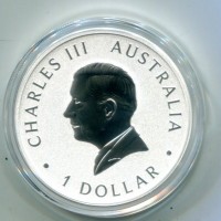 Australia, Carlo III (dal 2022): 1 dollaro 2024 "Kookaburra" -Oncia-
