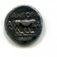 Antonia, moglie di Marco Antonio (44-30 a.C.): quinario (Crawford#489/6)
