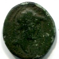 Sicilia, Panormos (241 a.C.): bronzo (Calciati#I,332,12), diametro 26 mm,gr. 11,31

