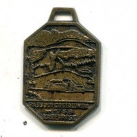 Carezza/Costalunga: medaglia , mm 31x42, gr.11,74