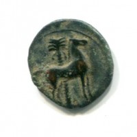 Siculo Puniche (dopo il 400 a.C.): AES, cavallo stante dietro Palmizio (Mont.#5543), gr. 3,31
