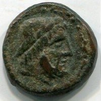 Sicilia, Siracusa (dopo 212 a.C.): bronzo 19 mm (Calciati#229)