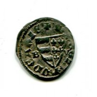 Ungheria, Karl Robert (1308-1342): denaro (Huszar#495)