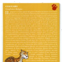 Italia 2022: 5 euro "Giaguaro 2022"
