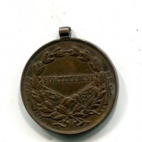 Austria, Karl I (1916-1918): medaglia "Fortitudini", diametro 31,5mm, gr. 15,25
