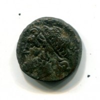 Sicilia, Siracusa, Gerone II (275-269 a.C.): bronzo (SNG ANS#586), gr. 5,64
