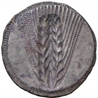 Lucania, Metaponto (540-530 a.C.) Statere (HN Italy#1467), grammi 8.02, modulo largo. Proveniente dalla Collezione Riccardo Diego Dionigi Strada (1897-1973) con bustina del collezionista con numero d'inventario.
