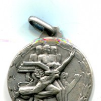 Saronno 1955: medaglia "Mostra Provinciale Artigianato", diametro 30mm, gr.6,09