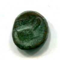 Sicilia, Panormos (post 241 a.C.): bronzo (Buceti#129), gr. 2,01