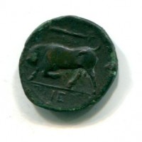 Sicilia, Siracusa, Gerone II (275-269 a.C.): bronzo (SNG ANS#586), gr. 5,64