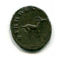 Gallieno (253-268 d.C.): antoniniano "DIANAE CONS AVG" 3,39g (RIC V#180)