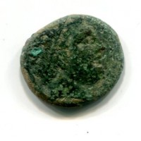 Sicilia, Siracusa, Agatocle (310-305 a.C.): bronzo (HGC,2#1465)
