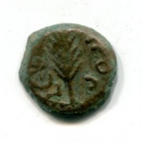 Judaea, Antonius Felix, procuratore (52-59 d.C.): prutah (Sear#3627)