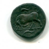 Sicilia, Siracusa (317-310 d.C.): bronzo 6,61g (Minì#108var)