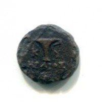 Aeolis, Kyme (350-250 a.C.): bronzo (Sng#7695)