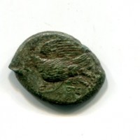 Sicilia, Siracusa, Quarta Democrazia (289-287 a.C.): bronzo (Calciati#158)
