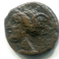 Siculo Puniche (dopo il 400 a.C.): AES, cavallo stante dietro Palmizio (Montenegro#5543)

