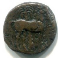 Siculo Puniche (dopo il 400 a.C.): AES, cavallo stante dietro Palmizio (Montenegro#5543)
