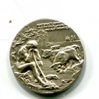 Italia 1981: medaglia commemorativa di Virgilio, gr.9,88, diametro 26mm