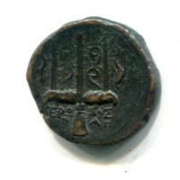 Sicilia, Siracusa, Gerone II (274-216 a.C.): AES 21mm (Calciati#194), gr. 7,58