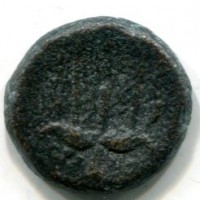 Sicilia, Siracusa, Gerone II (275-215 a.C.): bronzo, testa a dx (Buceti#1409)