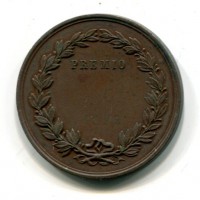 Vigevano 1872: medaglia premio "Società di Industria e delle Arti in Vigevano", diametro 32mm, gr.11,30