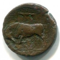 Sicilia, Siracusa, Gerone II (275-215 a.C.): bronzo (SngAns#595)
