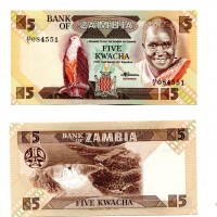 Zambia: 5 kwacha (1980-88) (Pick#25d)