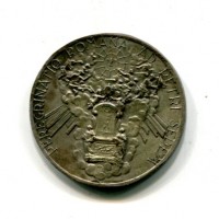 Pio XII (1939-1958): medaglia 1939 "Peregrinatio Romana Ad Petri Sedem", 26mm
