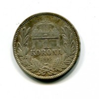 Ungheria, Francesco Giuseppe (1848-1916): 1 Korona 1895 (KM#484)