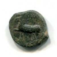Sicilia, Erice (330-260 a.C.): bronzo (Buceti#57), gr.2,78