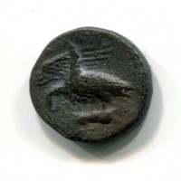 Sicilia, Akragas (470-425 a.C.): bronzo (Calciati#223/1400), gr.5,74