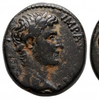 Seleucia, Augusto (24 a.C.-14 d.C.): bronzo del 5/12 d.C (McAlee#207; RPC,I#4264), grammi 17.1, mm 27.3