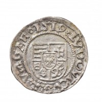 Ungheria, Ludwig II (1516-1526): denaro (Huszar#841), gr.0,55