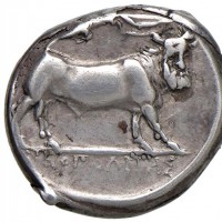 Campania, Neapolis (325-240 a.C.): didracma (Sng Cop#398), grammi 7,33