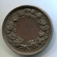 Bologna, medaglia 1822 Carlotta Marchionna, diametro 42,50mm, colpetti