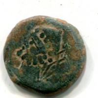 Hispania, Malaca (circa 80 a.C.): AES/bronzo (S.Spain#1376)